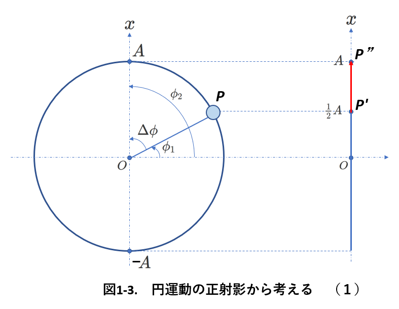 単振動を円運動の正射影から考える（1）