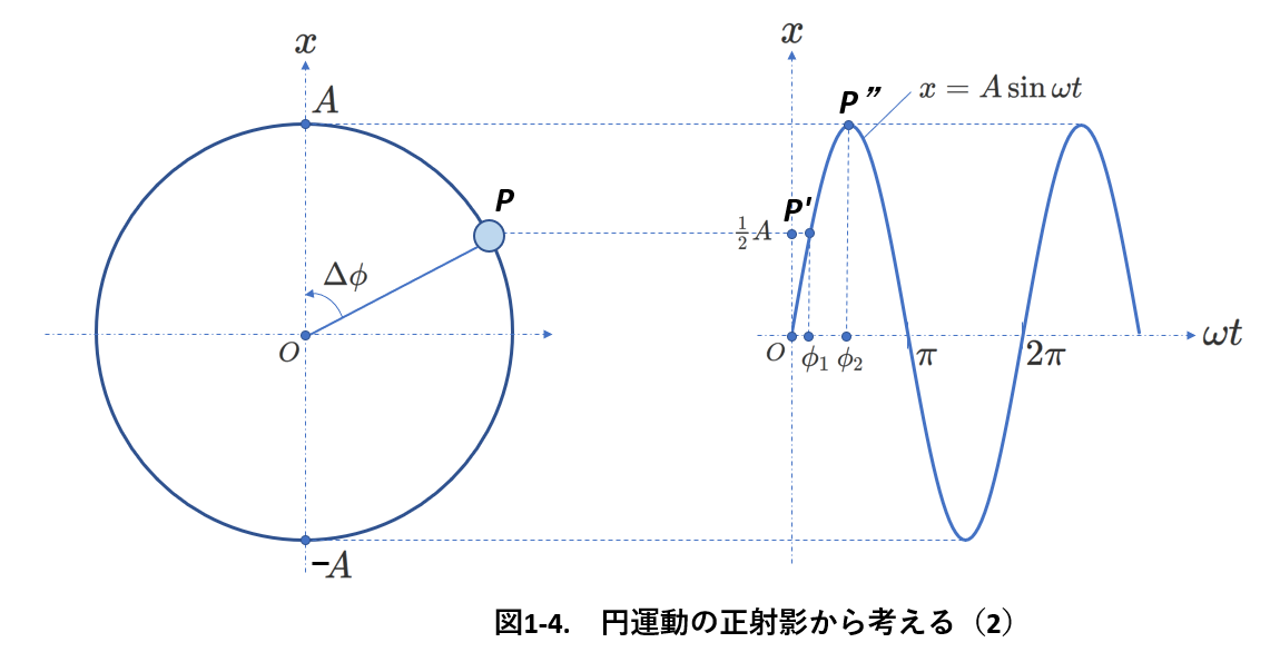 単振動を円運動の正射影から考える（2）